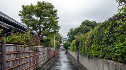 雨の裏路地