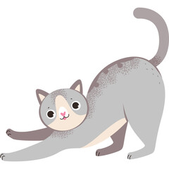 Cute Grey Cat Stretching With Playful Expression And Speckled Fur Detail On A White Background