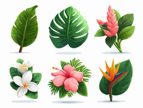 Set di elementi grafici vettoriali che rappresentano la lussureggiante bellezza della flora tropicale, con fiori e foglie distintivi.