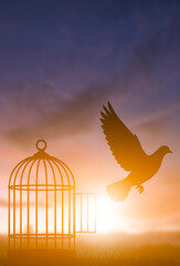 Freedom concept with bird flying out of open cage at sunset