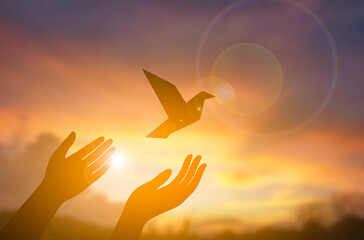 Hands Releasing Bird Silhouette at Sunset, Freedom and Hope Concept