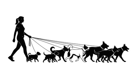 Dog walker. Woman walking with group of pets, vector graphic silhouette. Transparent PNG version.