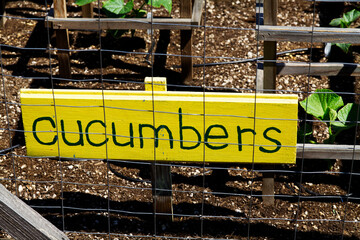 Wooden Cucumber Sign In Garden Raised Bed