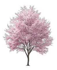 Obraz premium A pink blooming tree with abundant flowers, showcasing the beauty of nature in full bloom.