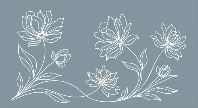 Floral Line Art Illustration of Flowers.