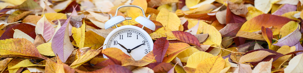 Classic white analog alarm clock partially covered in pile of yellow and red ash tree leaves, signs...