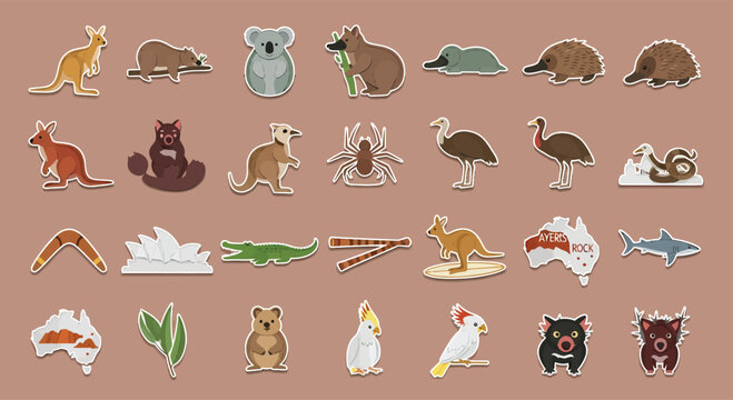 Collection of australian animals displayed on a light brown surface showcasing their unique features and diversity, creating an educational and engaging visual resource.