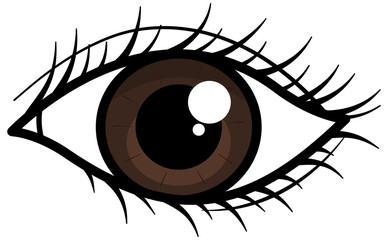 Brown eye illustration 