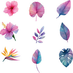 set of colorful flowers