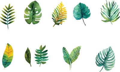 vector set of green leaves