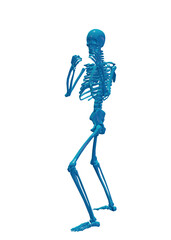 Human skeleton, 3D rendered, transparent background