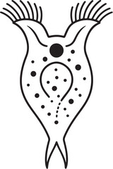 rotifer_vector_illustration.eps