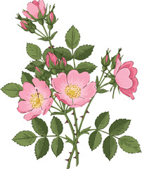 Business Growth Analytics and Financial Data Visualization Icon Charts and Graphs