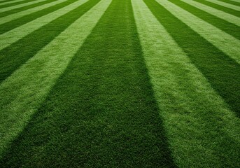 A perfectly manicured green lawn featuring distinct, alternating dark and light stripes, suggesting high-quality care and professional maintenance ,turf ,vibrant ,outdoors