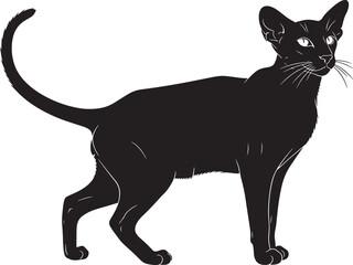 Elegant black cat silhouette standing alert with curled tail perfect for pet lovers and graphic design projects