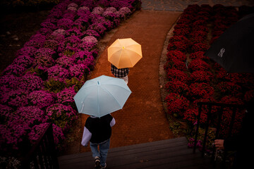 girl with umbrella