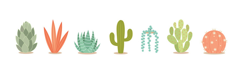 Succulent Plants in Decorative Pots Vector Illustration. Modern Flat Design Collection of Indoor Houseplants, Minimalist Botanical Art for Home Decor, Gardening, and Eco-Friendly Lifestyle Concepts