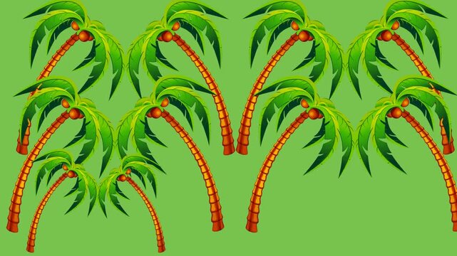draw scenery of various coconut tree on green screen background
