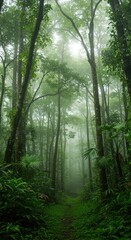 Obraz premium Dense, vibrant green tropical jungle with towering trees and undergrowth, bathed in humid morning light filtering through the misty, heavy canopy ,abundance ,environment ,canopy