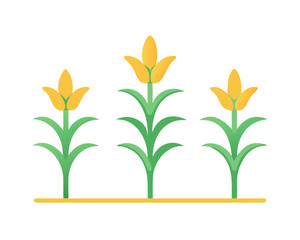Minimal flat vector of a Corn Plant, 2D icon-style illustration on white background