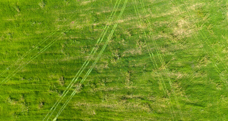 A beautiful top down drone view of a vibrant green pasture with tire tracks from a vehicle creating lines in the grass