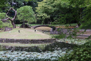 小石川後楽園。水戸徳川家の上屋敷の回遊式築山泉水庭園。内庭の池と、そこにかかる石橋。