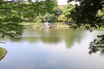 小石川後楽園。水戸徳川家の上屋敷の回遊式築山泉水庭園。琵琶湖を模した大泉水にある徳大寺石 と蓬莱島。