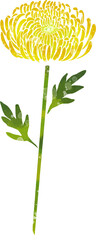 一本の黄色い菊のイラスト素材