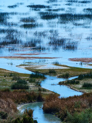 A picturesque landscape of a small river meandering through a calm and beautiful wetland full of reeds and marsh grasses