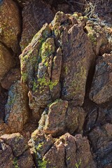 Jagged rocks covered in Yellow Paint Lichen, Pleopsidium oxytonum, and white Desert Brain Lichen, Psora cerebriformis, Arizona.