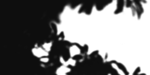 Abstract black and white blurred background with leaf shadow overlay effect isolated on transparent background