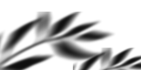 Abstract black and white leaf shadow isolated on transparent background