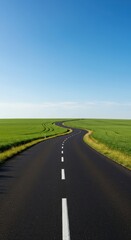 A winding black asphalt road stretching through lush green summer fields under a bright blue sky ,meadow ,winding ,horizon