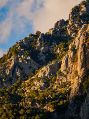 A beautiful mountain landscape with rocky peaks and green forested slopes illuminated by the soft light of golden hour