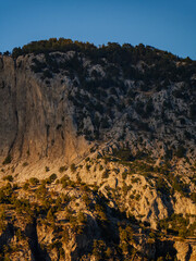 A beautiful vertical shot of a rugged mountain cliff illuminated by the golden hour light showing the textures of the rock and trees