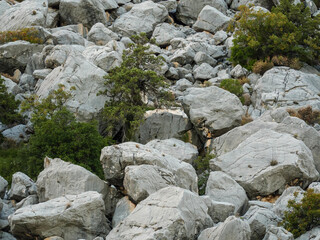 A close up of a beautiful and chaotic rockfall at the base of a cliff with green trees growing among the large gray boulders