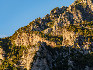 The beautiful golden hour light strikes the ridges of a mountain range covered in green trees creating a stunning and dramatic landscape