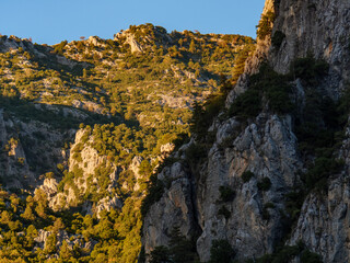 The beautiful warm light of the setting sun highlights the textures and contours of a rugged mountain range covered in green forest