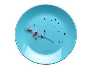Overhead shot of a pale blue plate with a sprig of small pink flowers and tiny scattered dots