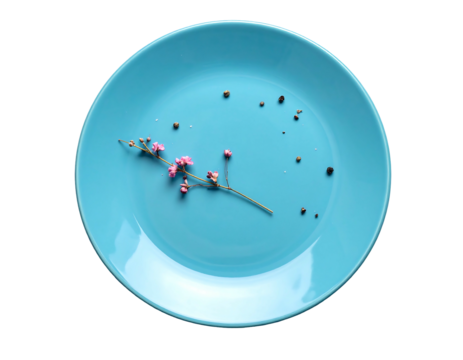 Overhead shot of a pale blue plate with a sprig of small pink flowers and tiny scattered dots