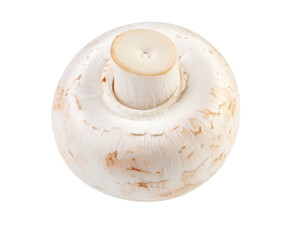 Overhead shot of a single, white mushroom against a black background showing texture, stem, and cap detail