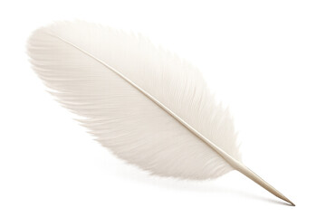 White feather symbolizing lightness and purity on transparent background