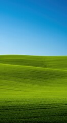 Rolling landscape featuring a smooth, verdant green hill slope under clear blue skies, highlighting the natural beauty of the peaceful countryside ,elevation ,curve ,terrain