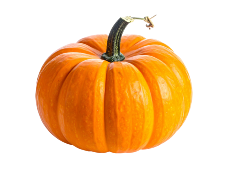 Orange pumpkin with vertical ridges and a curled stem against a dark background