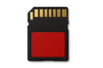 SD card storing digital data and flash memory