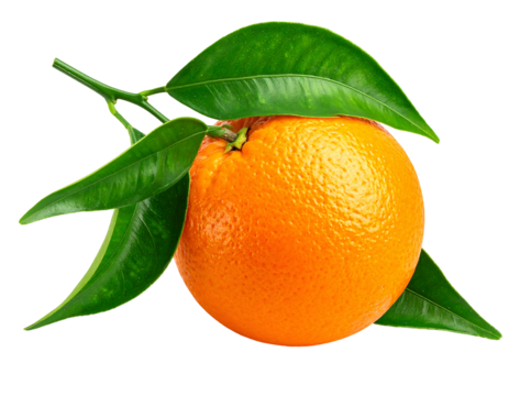 Ripe, textured orange with vibrant green leaves against a dark background, enhancing the fruit's color and form