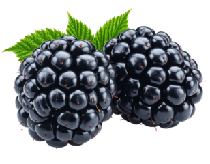 Two plump, ripe blackberries with green leaves, showcasing their dark, segmented texture against a transparent background