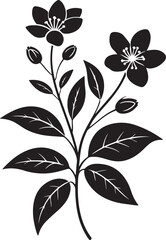 Fototapeta premium black silhouette of jasmine bouquet on white background, vector