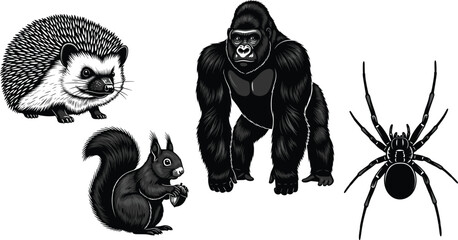 Animal silhouette set, hedgehog, squirrel, gorilla, spider, wildlife diversity, black vector, forest, insect, primate, rodent, arachnid, nature, illustration, 