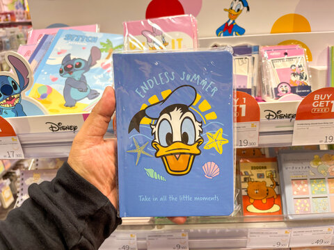 Dreaming of Endless Summer with Donald Duck Notebook A Whimsical Journal for Creative Minds
